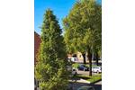 Etagenwohnung Nidderau - 2 Zimmer, 65 m&sup2;, 195.000&euro; | Angebot:26445700