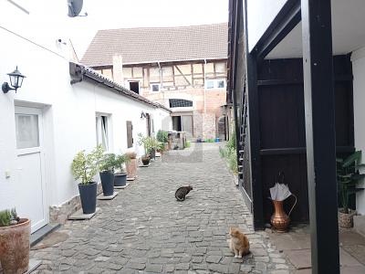 GRÖSSE AUF DEN ZWEITEN BLICK - Mehrfamilienhaus, Wohnhaus Großostheim | Angebot:26522459