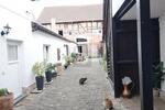 GRÖSSE AUF DEN ZWEITEN BLICK - Mehrfamilienhaus, Wohnhaus Großostheim | Angebot:26522459