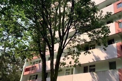 Wohnung Frankfurt am Main Eschersheim - 3 Zimmer, 73 m&sup2;, 862&euro; | Angebot:26001619