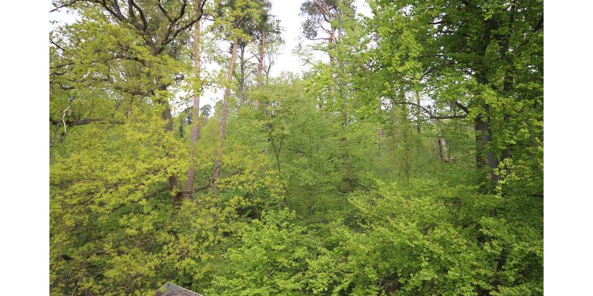 Etagenwohnung Heusenstamm - 3 Zimmer, 66 m&sup2;, 785&euro; | Angebot:26065732