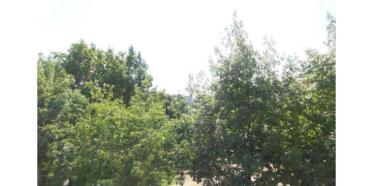 Etagenwohnung Offenbach am Main - 2 Zimmer, 58 m&sup2;, 780&euro; | Angebot:25866666