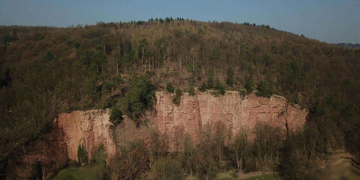 Grundstück Büdingen - 395.000&euro; | Angebot:25379927