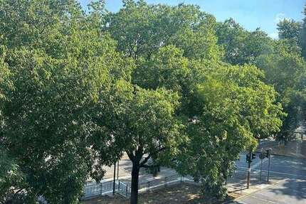 Wohnung Frankfurt Bornheim - 2 Zimmer, 51 m&sup2;, 349.000&euro; | Angebot:24850787