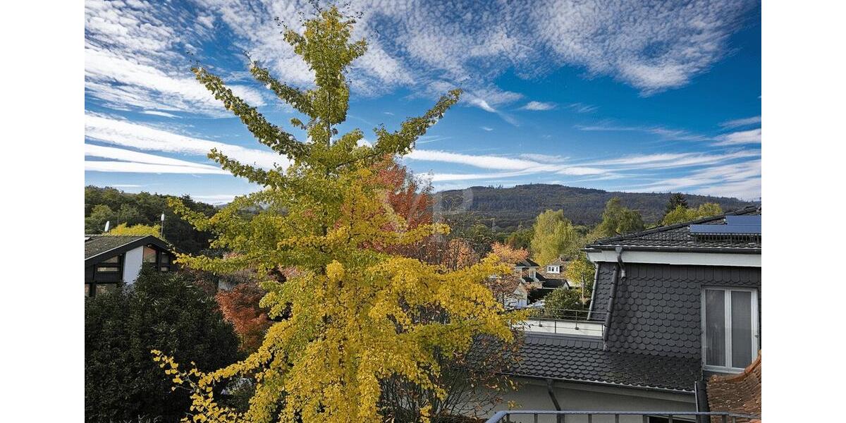 Einfamilienhaus Bad Homburg vor der Höhe Gonzenheim - 5 Zimmer, 227 m&sup2;, 3.900&euro; | Angebot:23393660