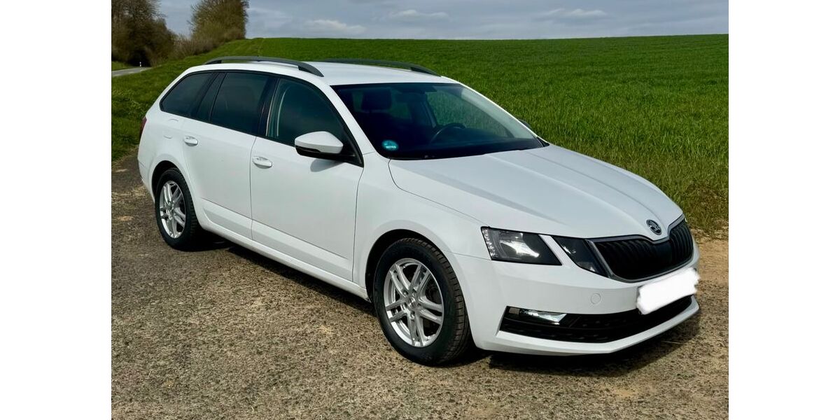 Skoda Octavia 193.600 km 9.500 &euro; Nidderau 61130