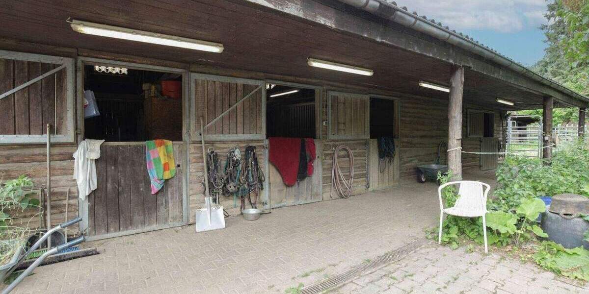 Mehrfamilienhaus, Wohnhaus Büdingen Calbach - 9 Zimmer, 194 m&sup2;, 495.000&euro; | Angebot:25715906