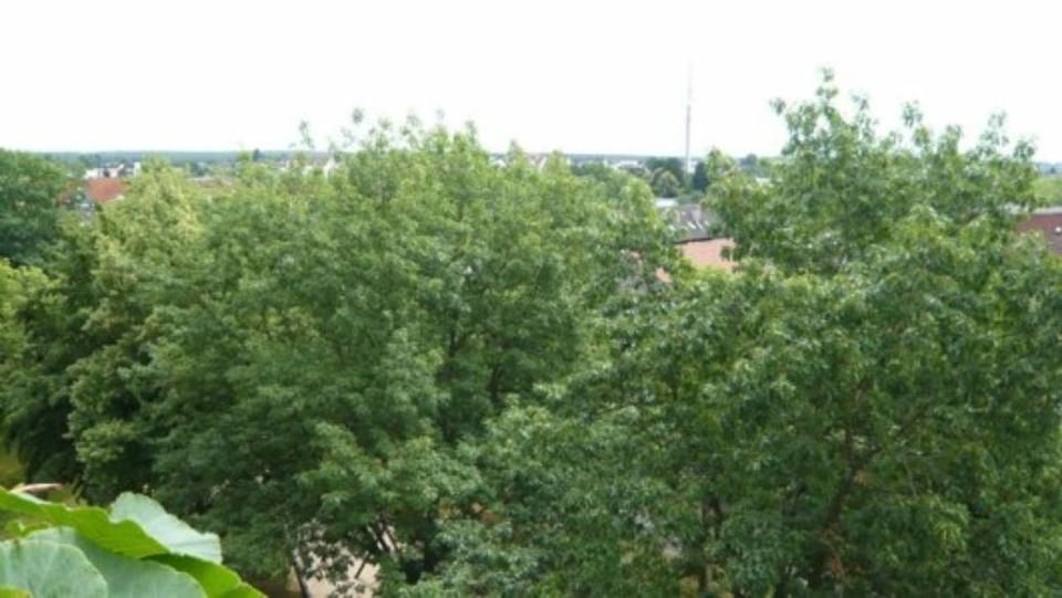 Maisonettenwohnung Rodgau - 4 Zimmer, 106 m&sup2;, 259.000&euro; | Angebot:25413998