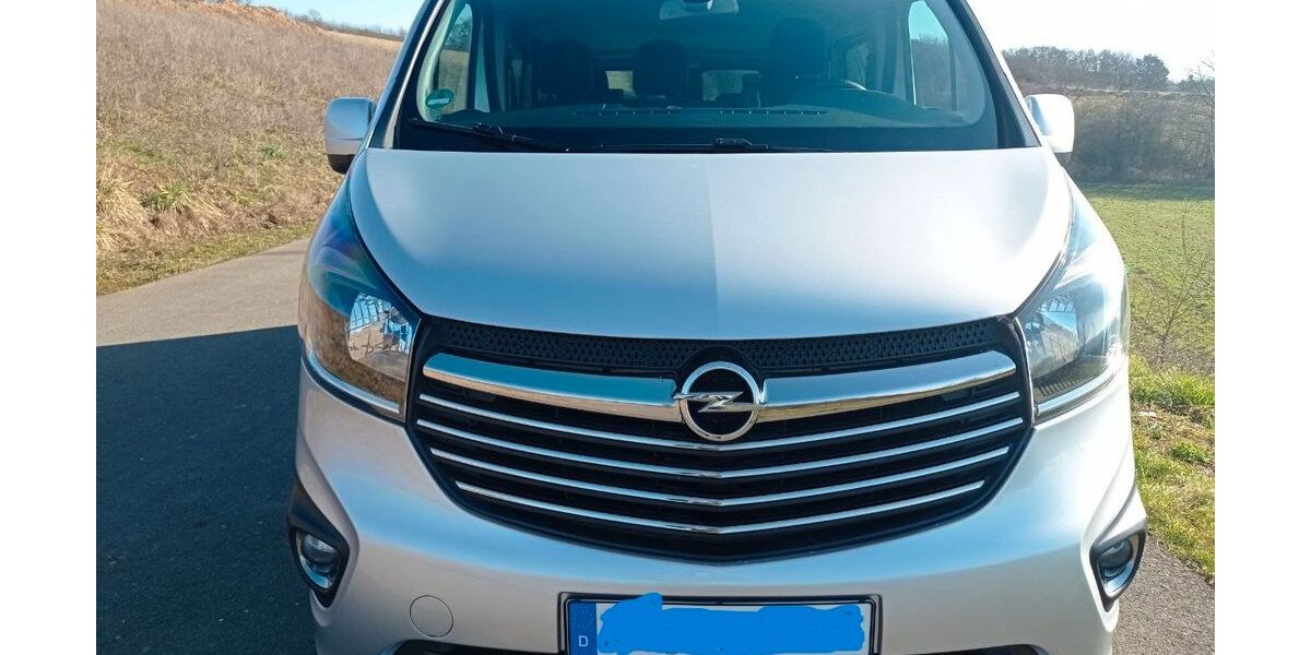 Opel Vivaro 110.000 km 14.500 &euro; Hösbach 63768