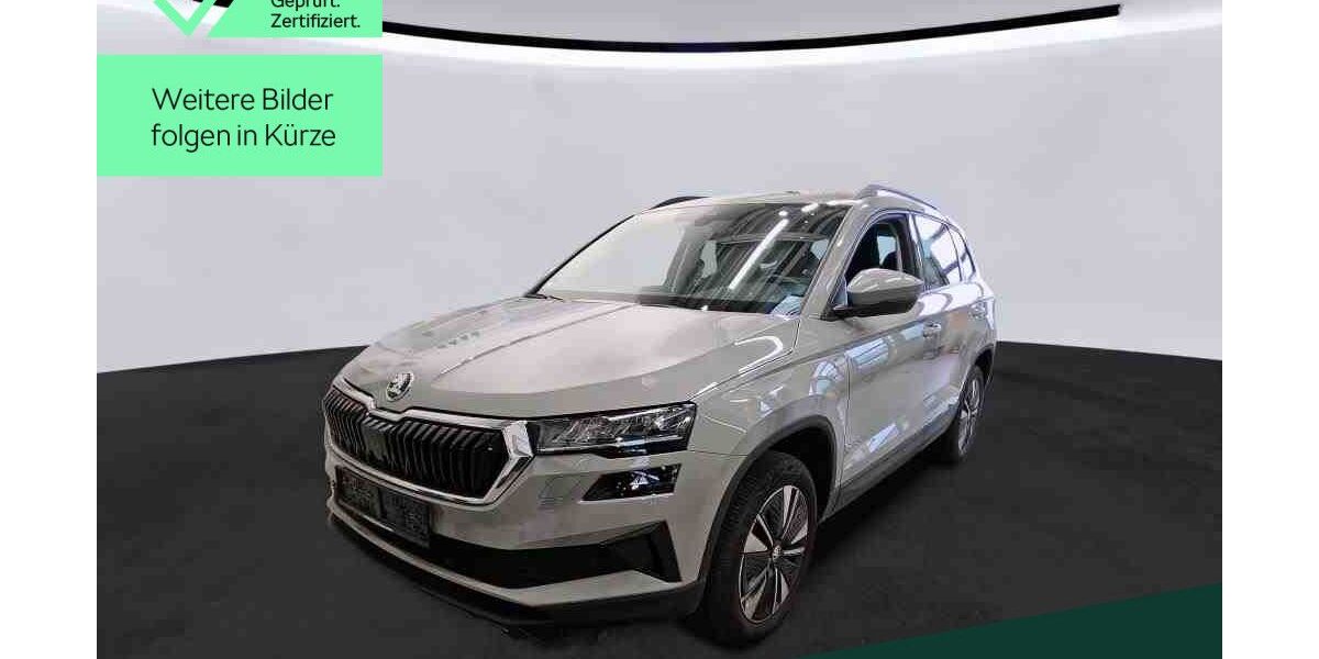 Skoda Karoq 41.000 km 25.449 &euro; Mühlheim 63165