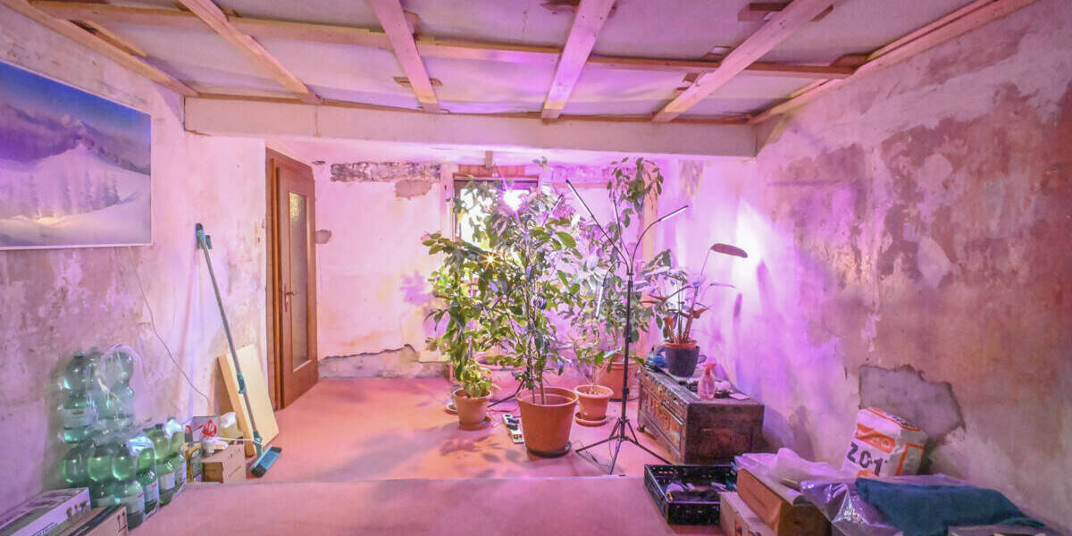 Einfamilienhaus Münster - 7 Zimmer, 164 m&sup2;, 219.000&euro; | Angebot:26080527