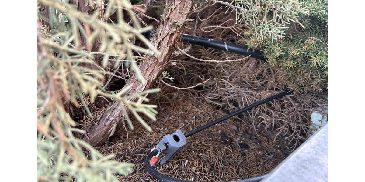 Einfamilienhaus Groß-Umstadt Umstadt - 9 Zimmer, 220 m&sup2;, 3.000&euro; | Angebot:25415646