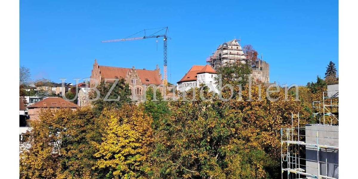 Etagenwohnung Alzenau - 4 Zimmer, 120 m&sup2;, 1.677&euro; | Angebot:25248597