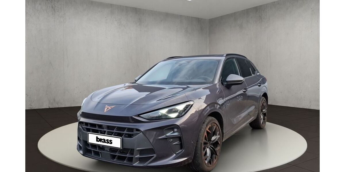 Cupra Terramar 9.999 km 47.950 &euro; Frankfurt 60488