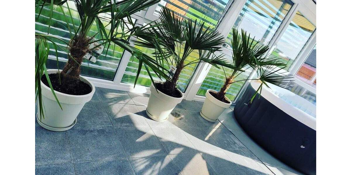 Einfamilienhaus Florstadt Nieder-Mockstadt - 6 Zimmer, 190 m&sup2;, 489.000&euro; | Angebot:25722340