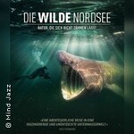 Die wilde Nordsee