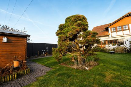 Haus Babenhausen - 4 Zimmer, 120 m&sup2;, 498.000&euro; | Angebot:27667069