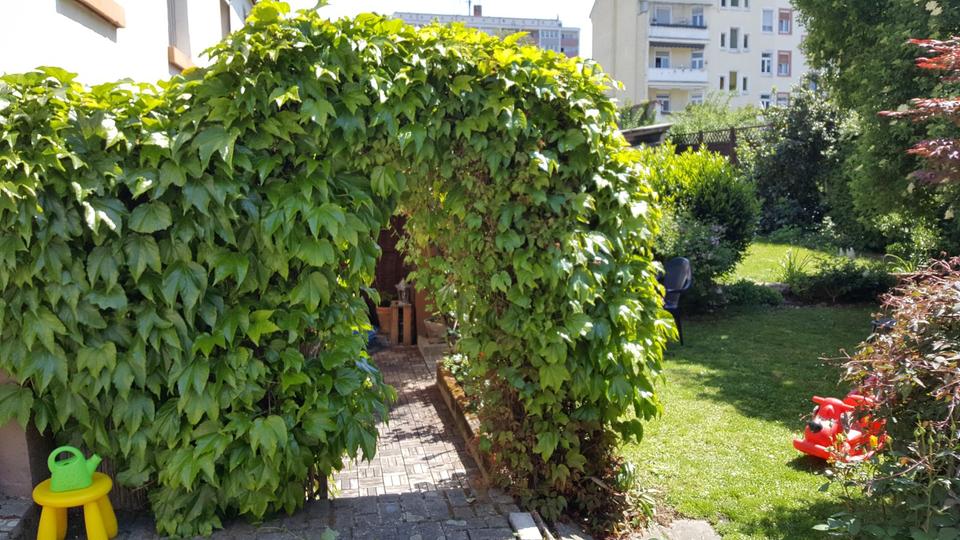 Doppelhaushälfte Offenbach am Main Bieberer Berg - 4 Zimmer, 103 m&sup2;, 500.000&euro; | Angebot:24860797