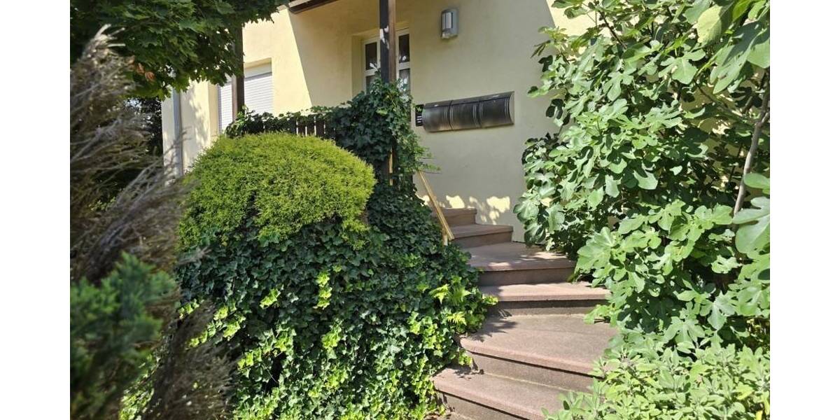 Mehrfamilienhaus, Wohnhaus Aschaffenburg Innenstadt - 1 Zimmer, 291 m&sup2;, 798.000&euro; | Angebot:25667639