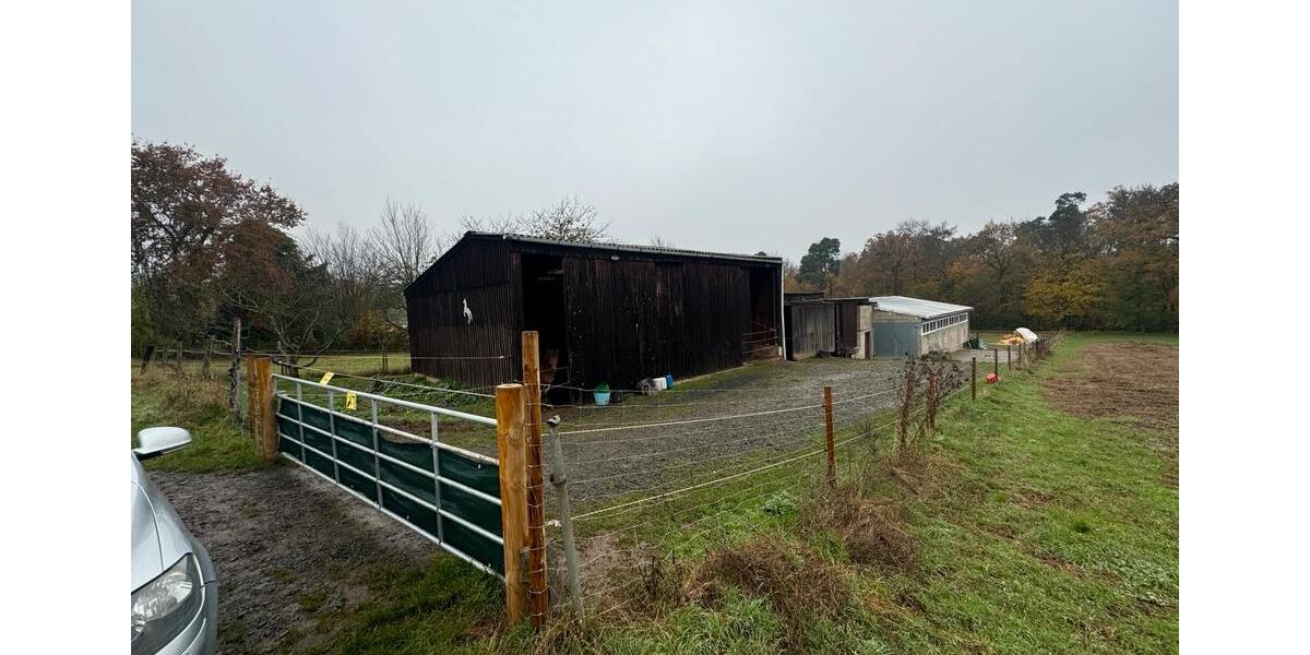 Bauernhaus, Landhaus Limeshain - 4 Zimmer, 112 m&sup2;, 439.000&euro; | Angebot:26578037