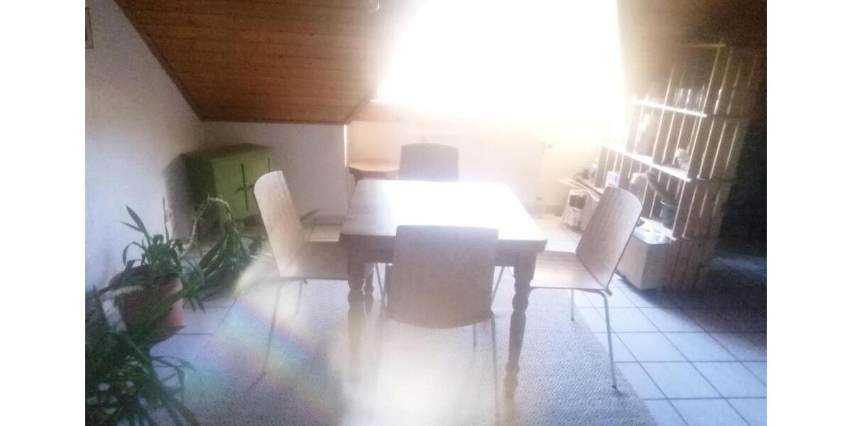 Dachgeschoßwohnung Alzenau - 2 Zimmer, 50 m&sup2;, 550&euro; | Angebot:25291016