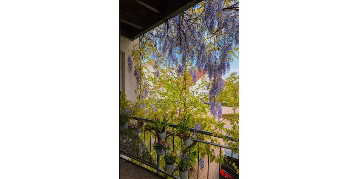 Einfamilienhaus Bad Nauheim - 10.5 Zimmer, 310 m&sup2;, 998.000&euro; | Angebot:25322115