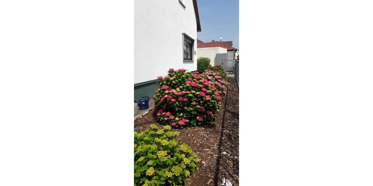 Gewerbeobjekt Friedrichsdorf Burgholzhausen - 850&euro; | Angebot:25704185