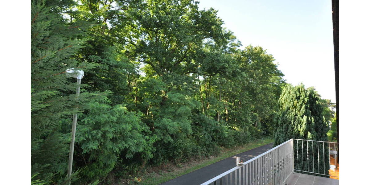 Mehrfamilienhaus, Wohnhaus Kahl am Main - 1 Zimmer, 355 m&sup2;, 889.000&euro; | Angebot:25733550