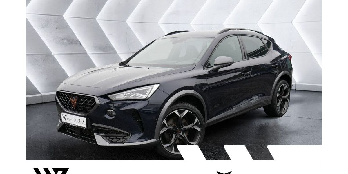 Cupra Formentor 132.004 km 21.687 &euro; Büdingen-Düdelsheim 63654