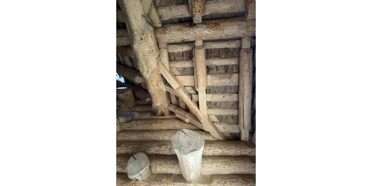 Einfamilienhaus Frankfurt am Main Westend Süd - 155.000&euro; | Angebot:25884216