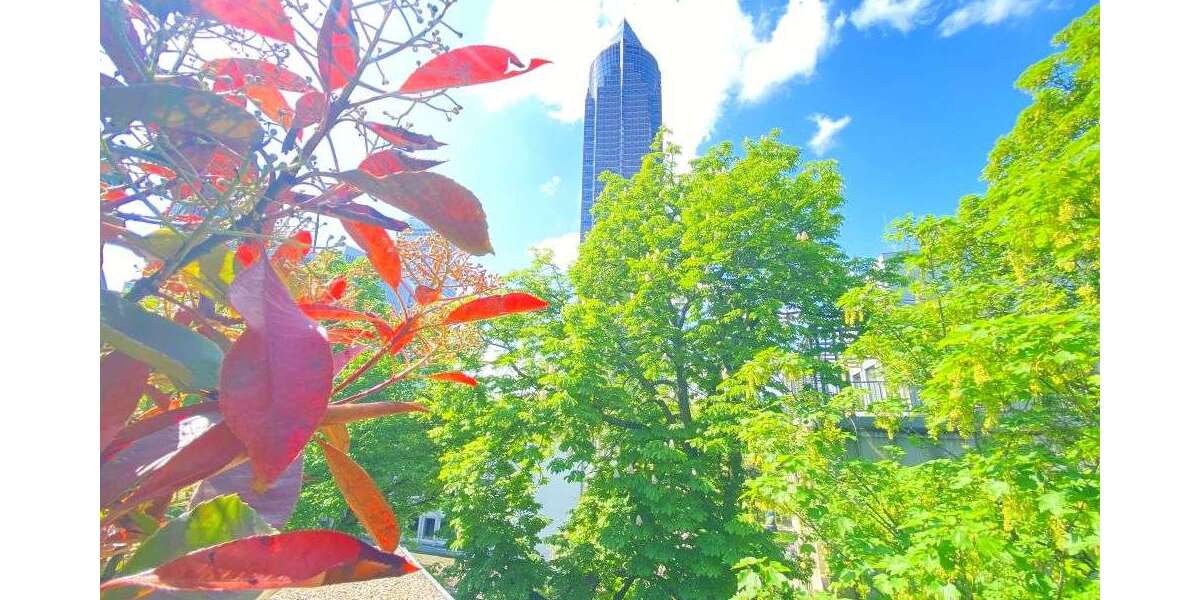 Etagenwohnung Frankfurt Westend Süd - 2 Zimmer, 82 m&sup2;, 850.000&euro; | Angebot:25981406