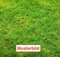 Grundstück Frankfurt Bonames - 899.000&euro; | Angebot:25997271