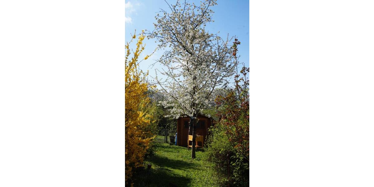 Reihenhaus Frankfurt am Main Nord-Ost - 4 Zimmer, 125 m&sup2;, 1.100.000&euro; | Angebot:24433269