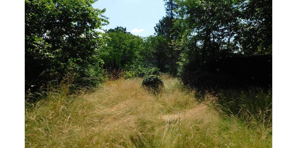 Einfamilienhaus Niedernberg - 4 Zimmer, 110 m&sup2;, 899.000&euro; | Angebot:25798630