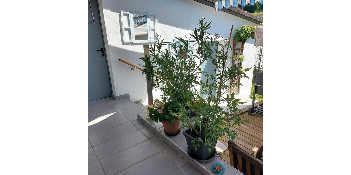 Einfamilienhaus Aschaffenburg Österreicher Kolonie - 7 Zimmer, 180 m&sup2;, 350.000&euro; | Angebot:25964686