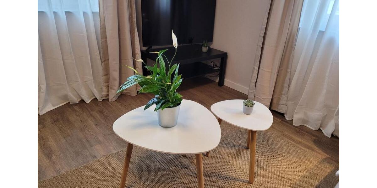 Etagenwohnung Kelsterbach - 1 Zimmer, 30 m&sup2;, 1.280&euro; | Angebot:24813636