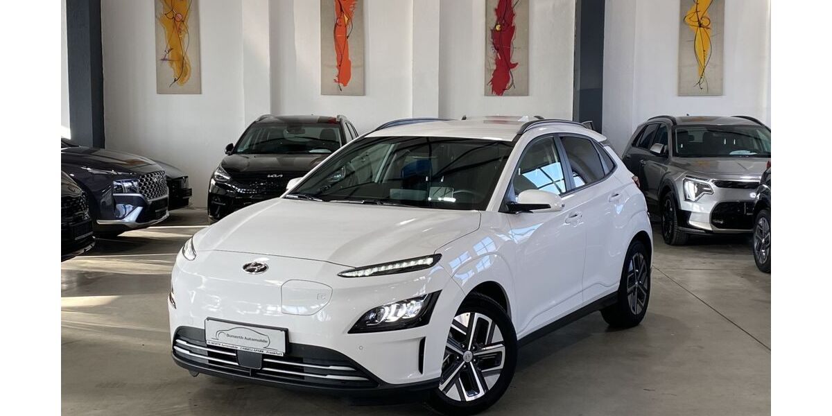 Hyundai KONA Elektro 37.500 km 21.950 &euro; Frankfurt am Main 60386