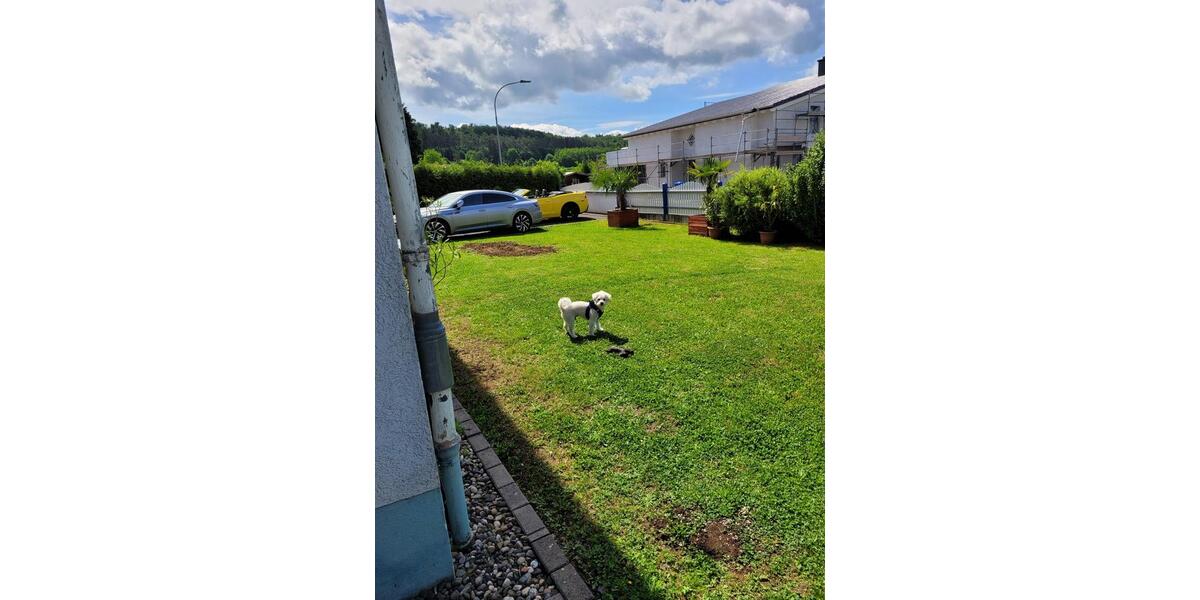 Einfamilienhaus Florstadt - 6 Zimmer, 190 m&sup2;, 489.000&euro; | Angebot:25646502