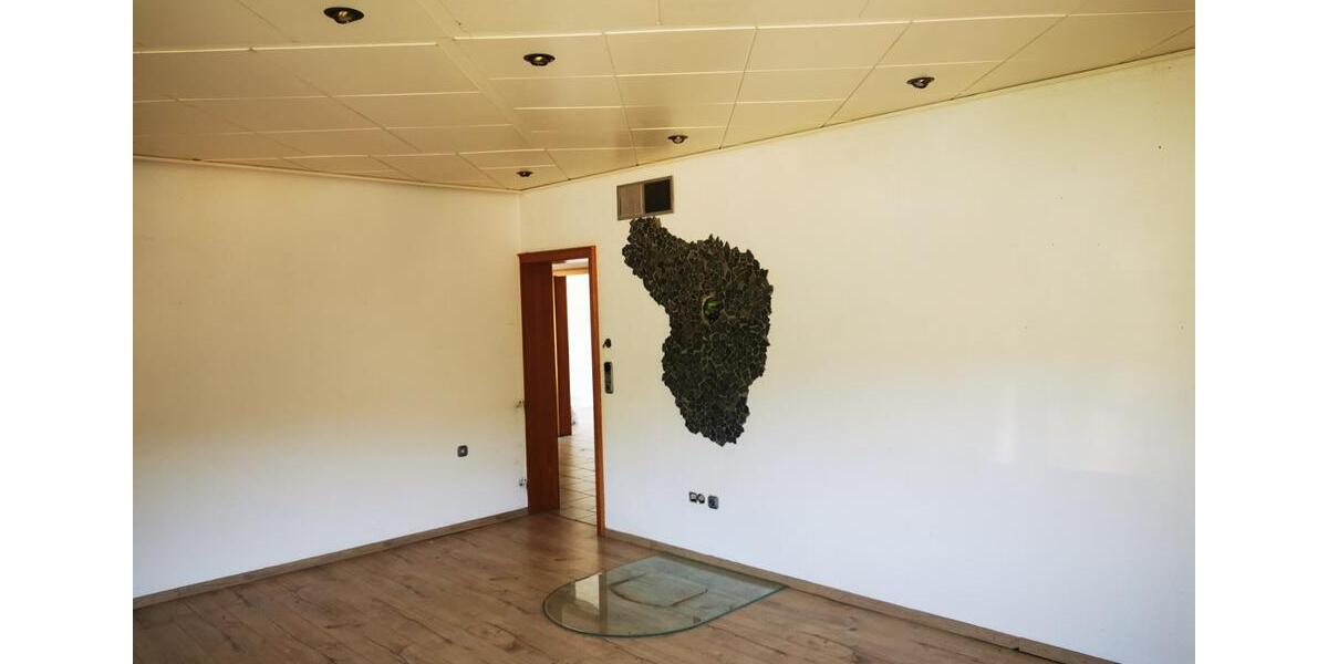 Einfamilienhaus Büdingen - 10 Zimmer, 249 m&sup2;, 349.000&euro; | Angebot:24538124