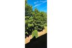Etagenwohnung Langen (Hessen) - 2 Zimmer, 45 m&sup2;, 190.000&euro; | Angebot:26768545