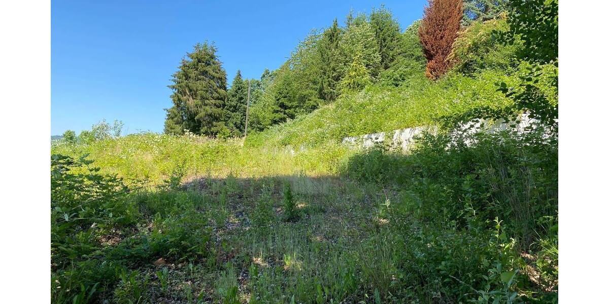 Grundstück Biebergemünd Bieber - 165.000&euro; | Angebot:25740826