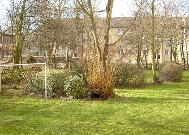 Etagenwohnung Frankfurt am Main Eschersheim - 1 Zimmer, 39 m&sup2;, 503&euro; | Angebot:25904131