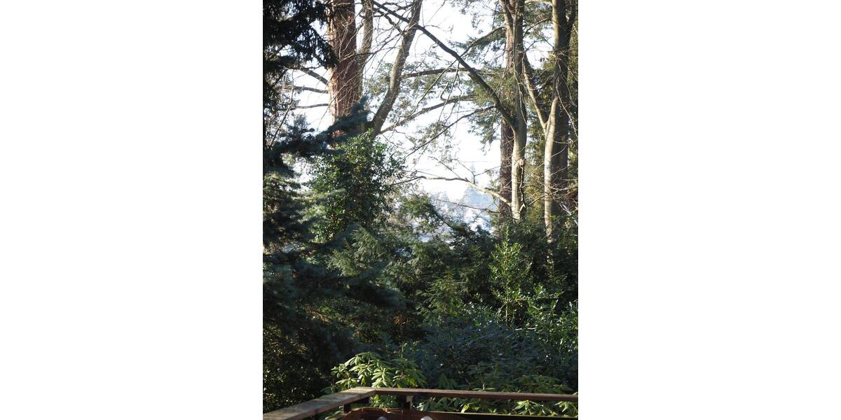 Etagenwohnung Kronberg im Taunus - 4 Zimmer, 153 m&sup2;, 2.450&euro; | Angebot:25027337