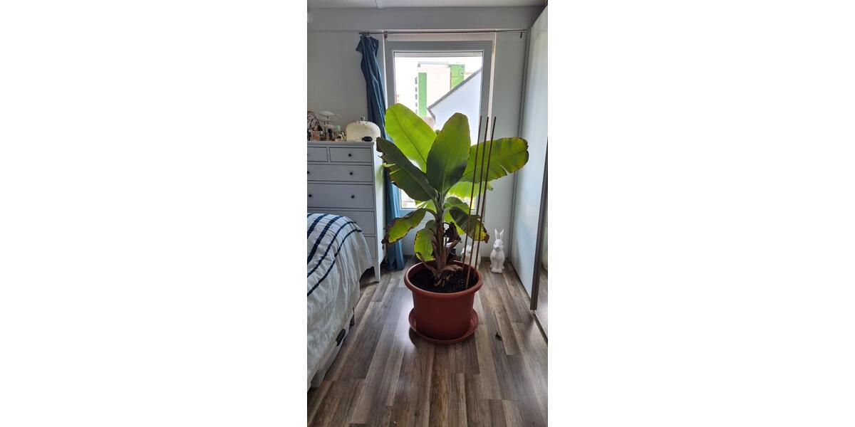 Reihenhaus Hanau Lamboy - 3 Zimmer, 81 m&sup2;, 410.000&euro; | Angebot:26961932