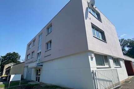 Haus Heusenstamm - 20 Zimmer, 2.100 m&sup2;, 2.400.000&euro; | Angebot:25973805