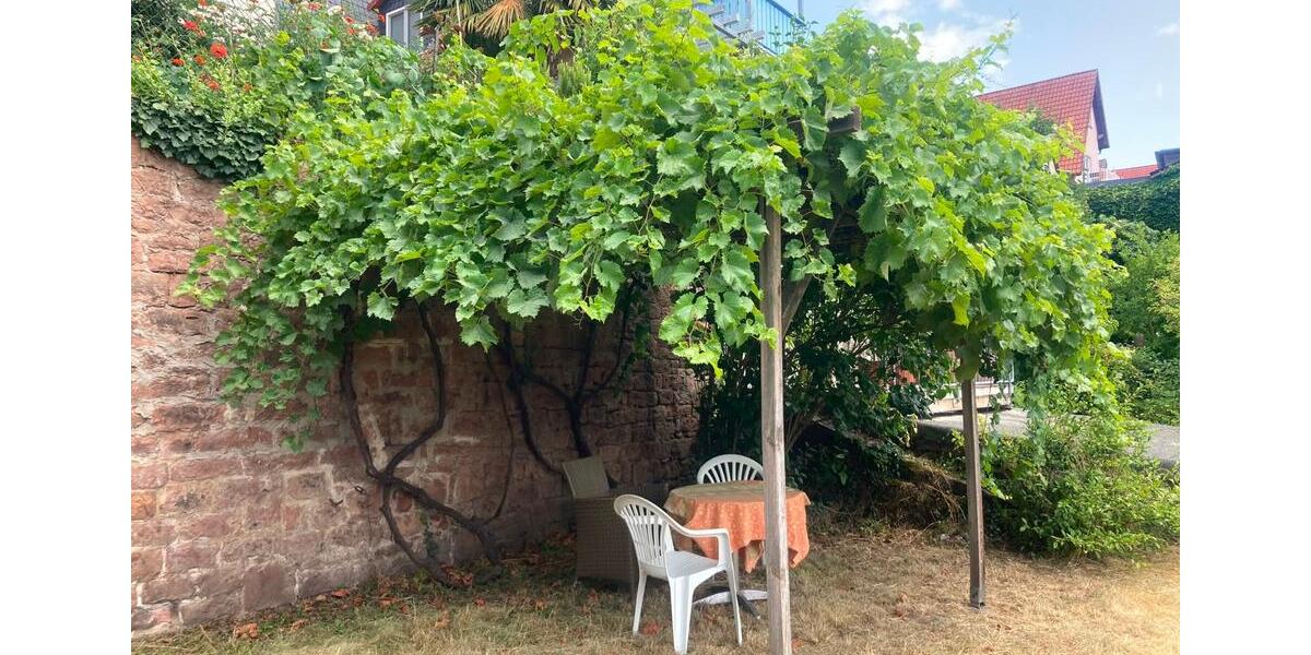 Einfamilienhaus Gelnhausen - 5 Zimmer, 90 m&sup2;, 1.100&euro; | Angebot:27709101
