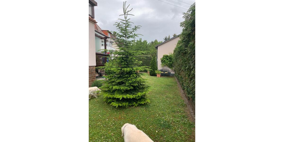 Mehrfamilienhaus, Wohnhaus Frankfurt am Main Sossenheim - 830.000&euro; | Angebot:26579090