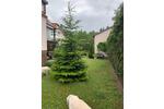 Mehrfamilienhaus, Wohnhaus Frankfurt am Main Sossenheim - 830.000&euro; | Angebot:26579090