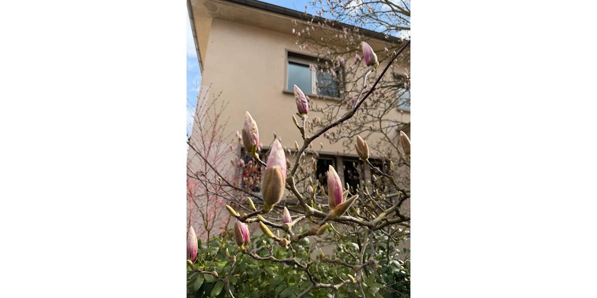 Einfamilienhaus Neu-Isenburg Isenburg - 7 Zimmer, 180 m&sup2;, 799.000&euro; | Angebot:26476008
