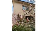 Einfamilienhaus Neu-Isenburg Isenburg - 7 Zimmer, 180 m&sup2;, 799.000&euro; | Angebot:26476008